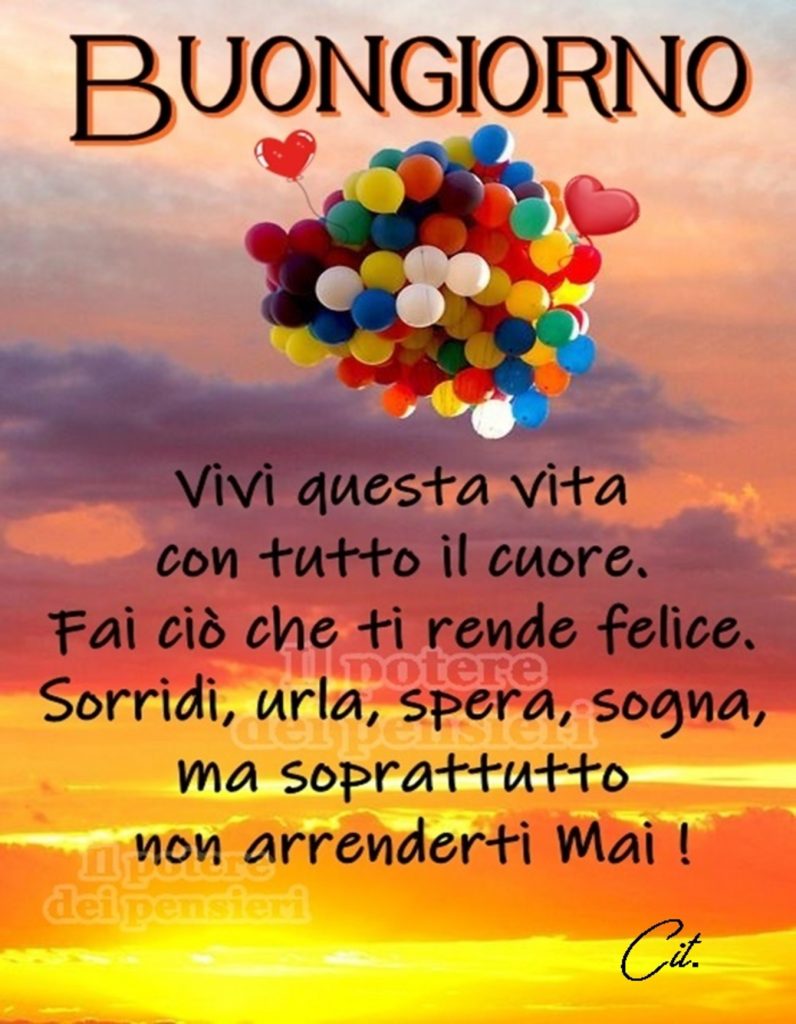 Buongiorno Vivi questa vita con tutto il cuore. Fai ciò che ti rende felice. Sorridi, urla, spera, sogna, ma soprattutto non arrenderti mai!