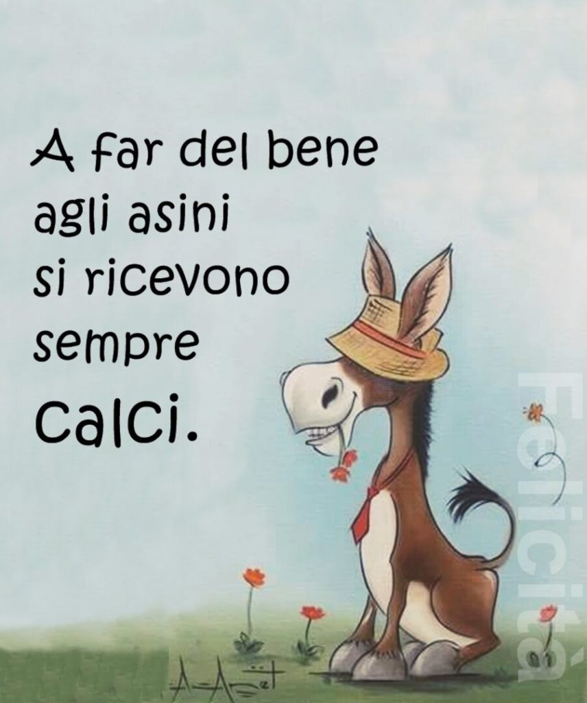 A far del bene agli asini si ricevono calci