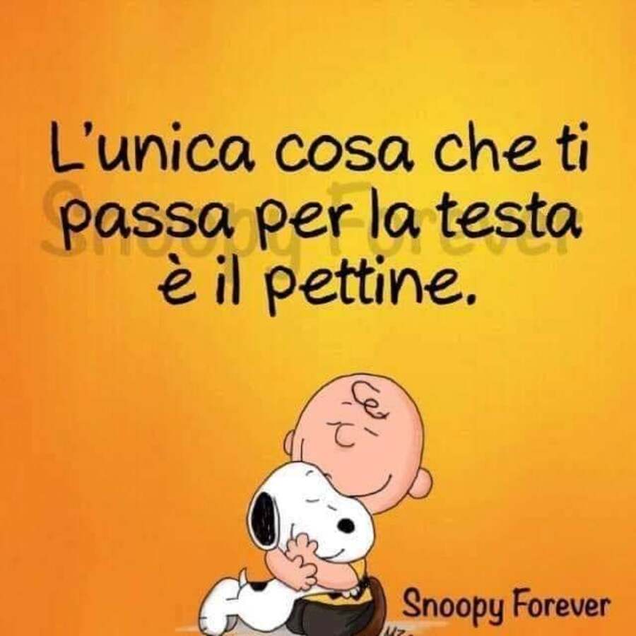 L'unica cosa che ti passa per la testa è il pettine