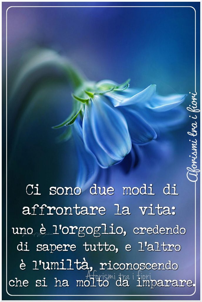 Ci sono due modi di affrontare la vita: uno è l'orgoglio, credendo di sapere tutto, e l'altro è umiltà, riconoscendo che si ha molto da imparare