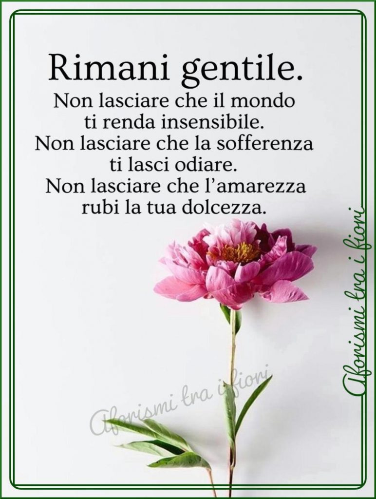 Rimani gentile. Non lasciare che il mondo ti renda insensibile. Non lasciare che la sofferenza ti lasci odiare. Non lasciare che l'amarezza rubi la tua dolcezza