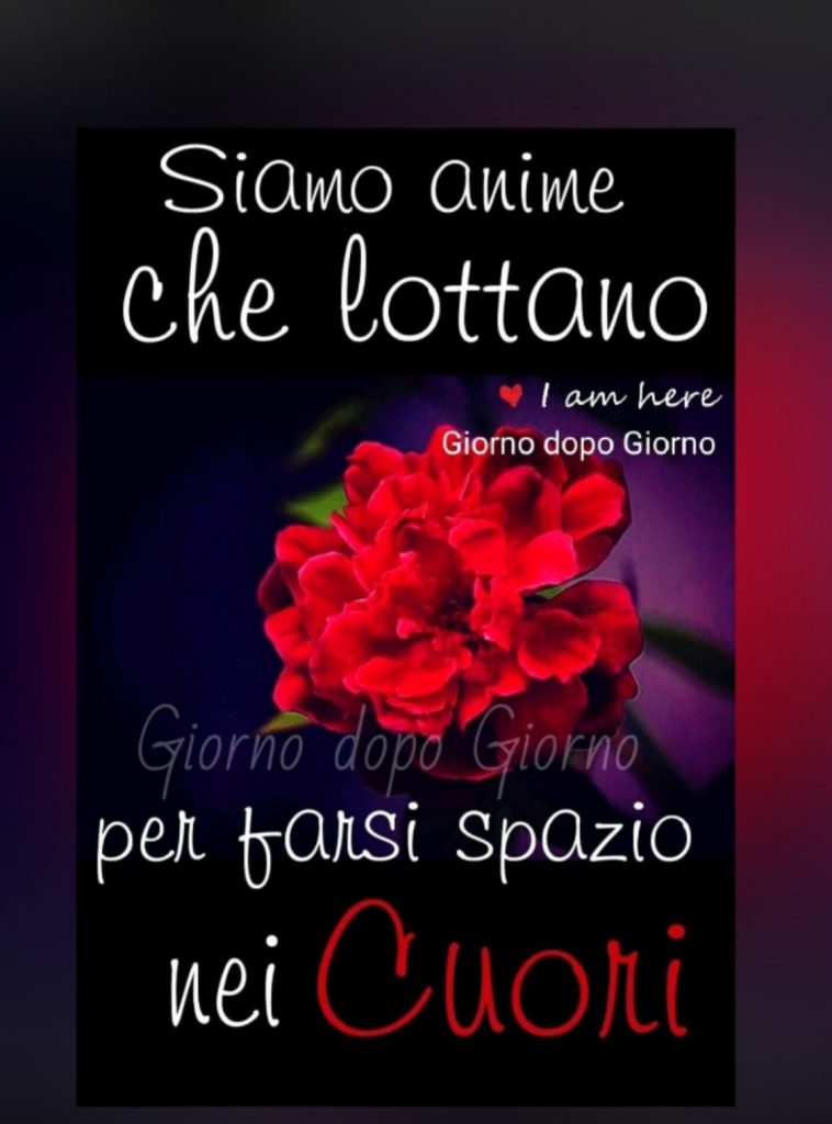 Siamo anime che lottano per farsi spazio nei cuori