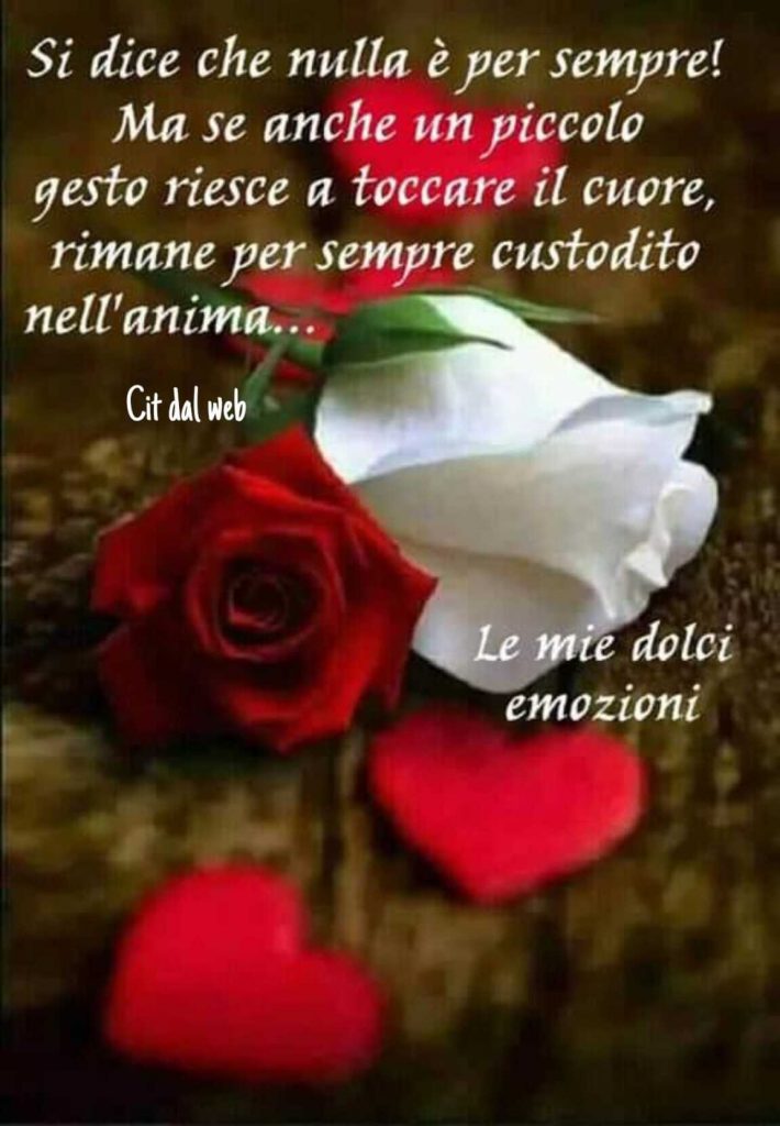 Si dice che nulla e per sempre! Ma se anche un piccolo gesto riesce a toccare il cuore, rimane per sempre custodito nell'anima...