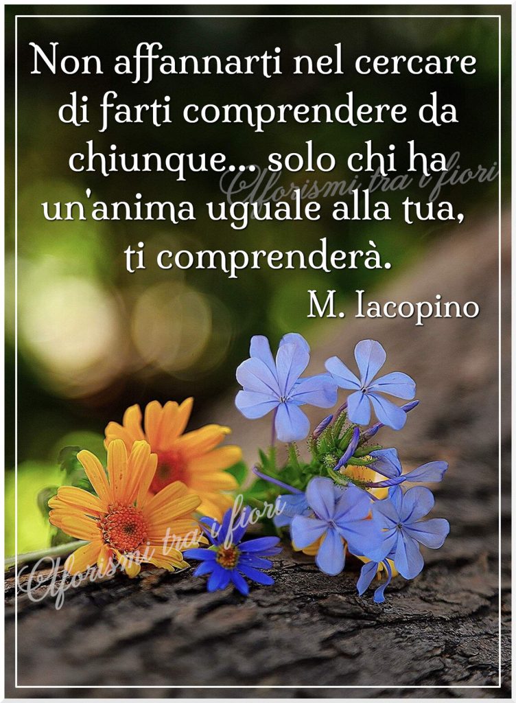 Non affannarti nel cercare di farti comprendere da chiunque... solo chi ha un'anima uguale alla tua, ti comprenderà