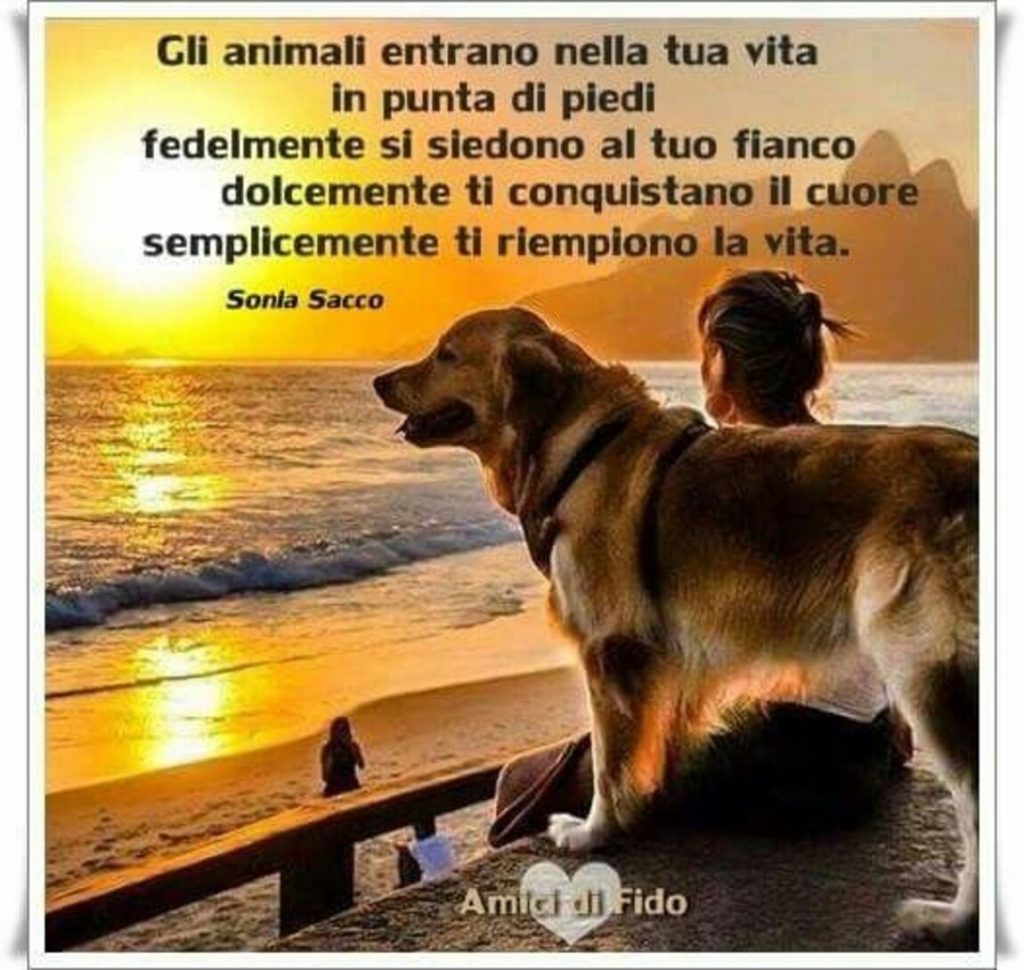 Gli animali entrano nella tua vita in punta di piedi fedelmente si siedono al tuo fianco dolcemente ti conquistano il cuore semplicemente ti riempiono la vita
