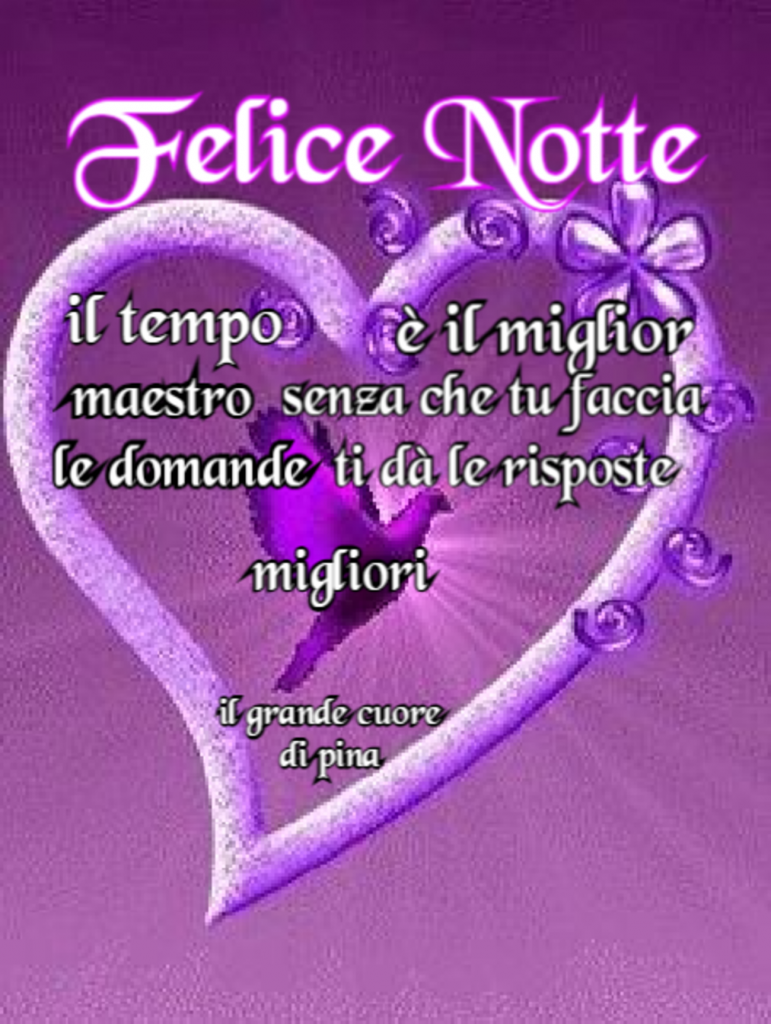 Felice Notte il tempo è il miglior maestro senza che tu faccia le domande ti dà le risposte migliori