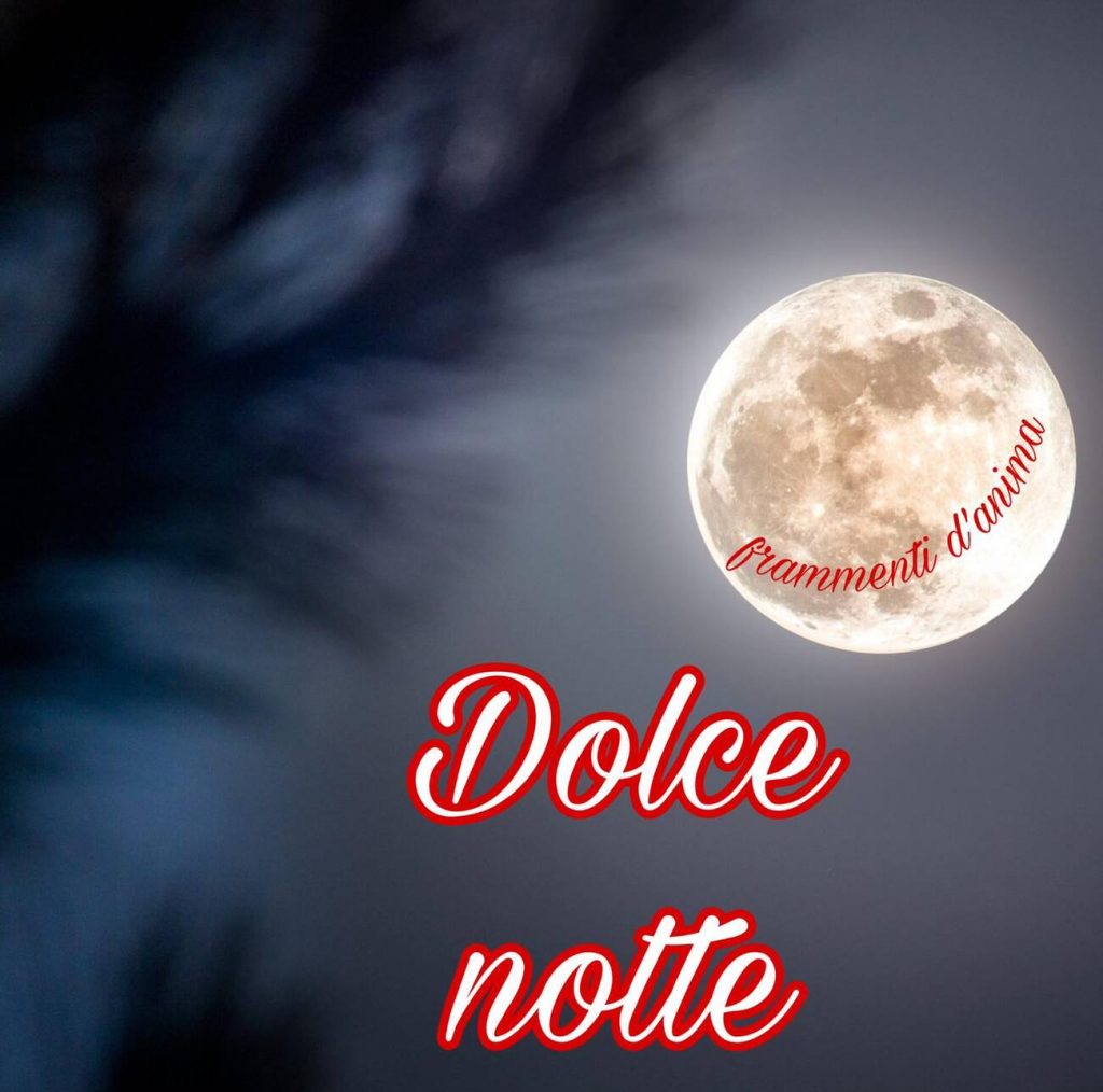 Dolce notte