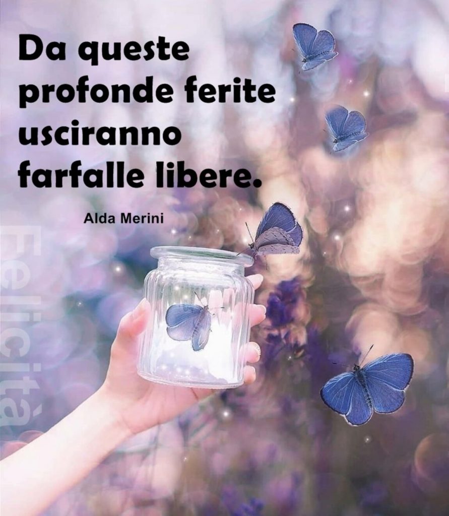 Da queste profonde ferite usciranno farfalle libere