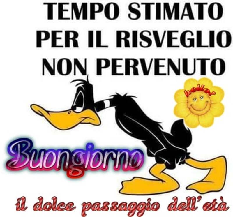 Tempo stimato per il risveglio non pervenuto Buongiorno