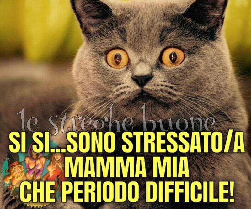 Si si...sono stressato/a mamma mia che periodo difficile!