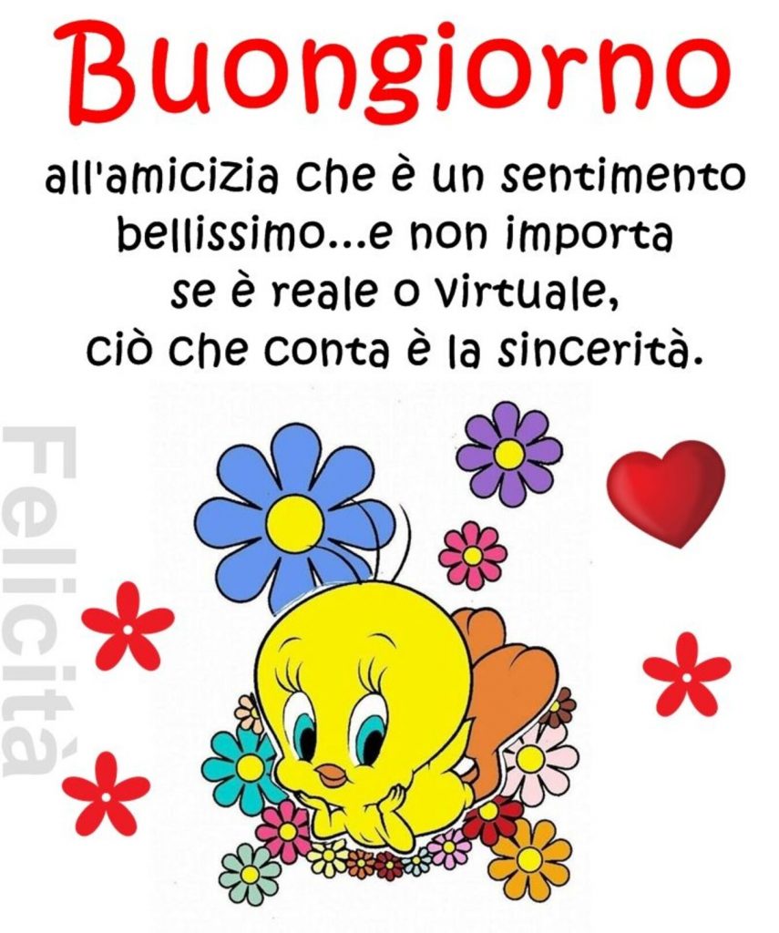 Buongiorno all'amicizia che è un sentimento bellissimo... e non importa se è reale o virtuale, ciò che conta è la sincerità 