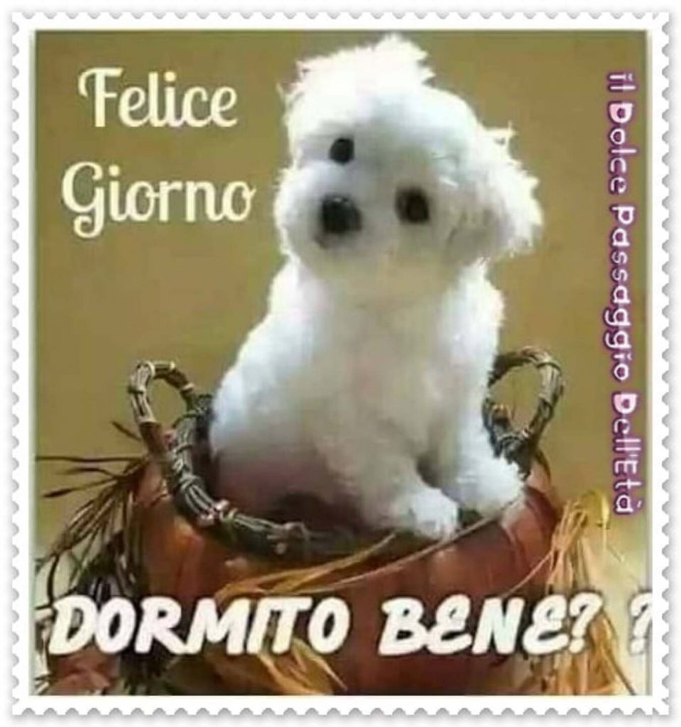 Felice Giorno Dormito bene?