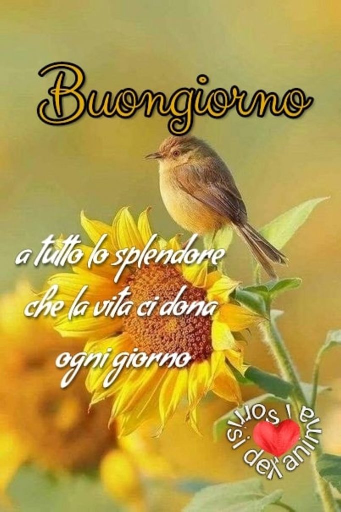 Buongiorno a tutto lo splendore che la vita ci dona ogni giorno