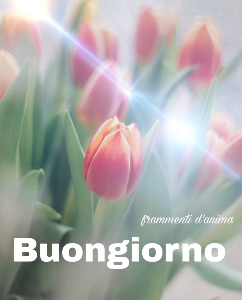 Buongiorno (frammenti d'anima)