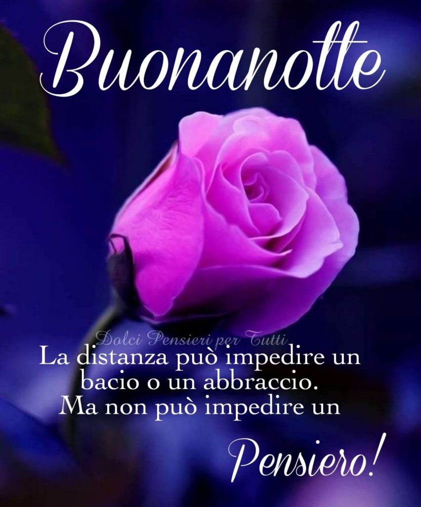 Buonanotte La distanza può impedire un bacio o un abbraccio. Ma non può impedire un pensiero!