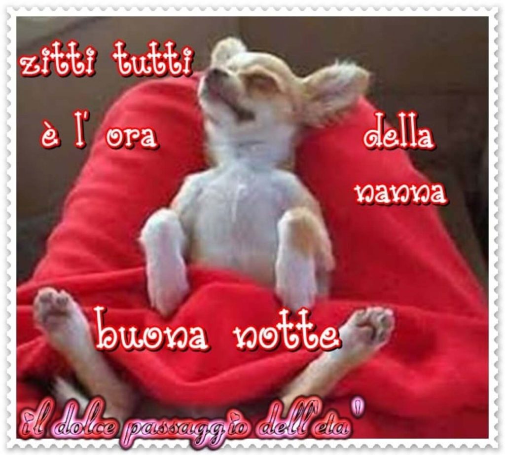 Zitti tutti è l'ora della nanna Buona notte