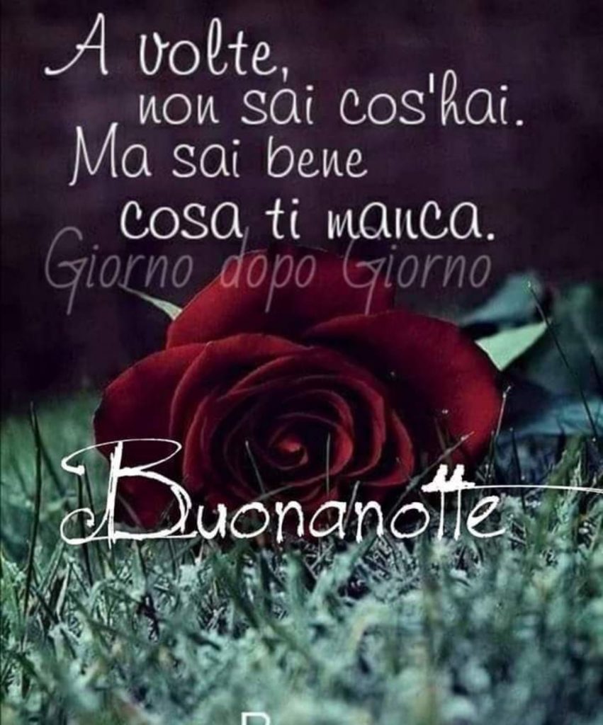 A volte non sai cos'hai ma sai bene cosa ti manca. Buonanotte