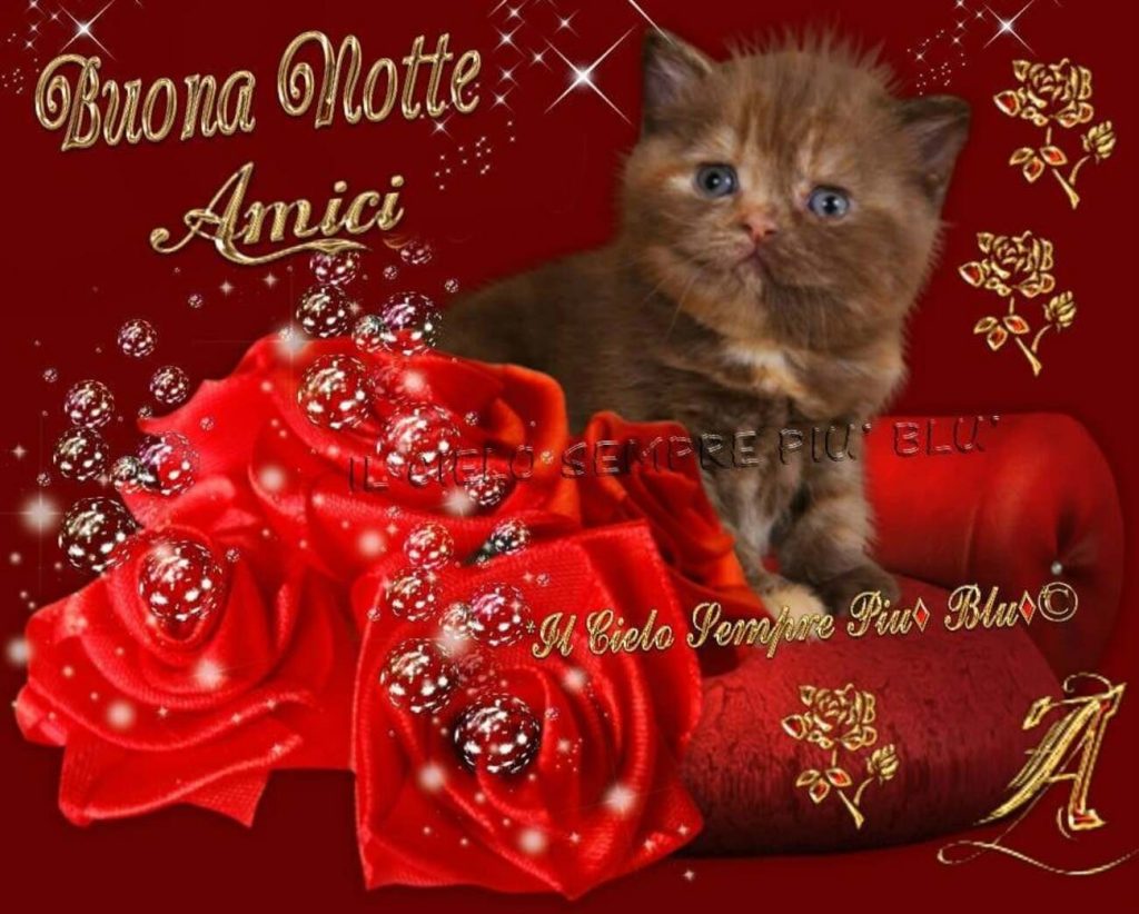 Buonanotte amici