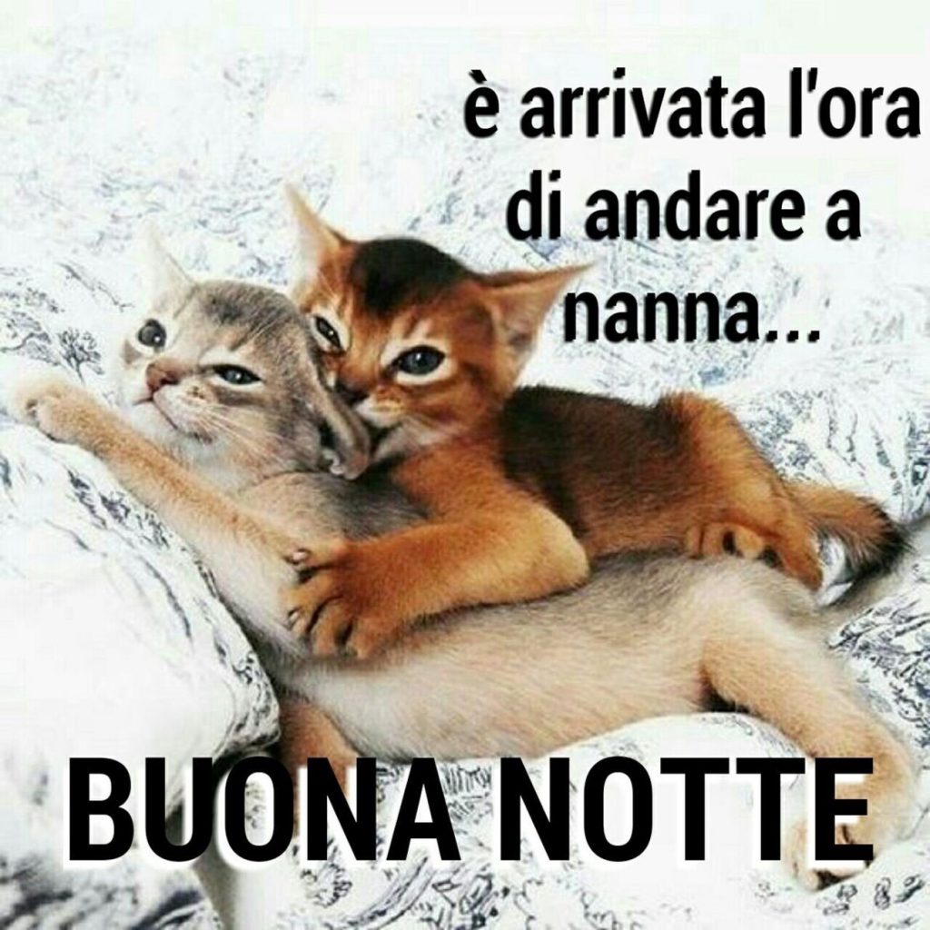 È arrivata l'ora di andare a nanna Buonanotte 