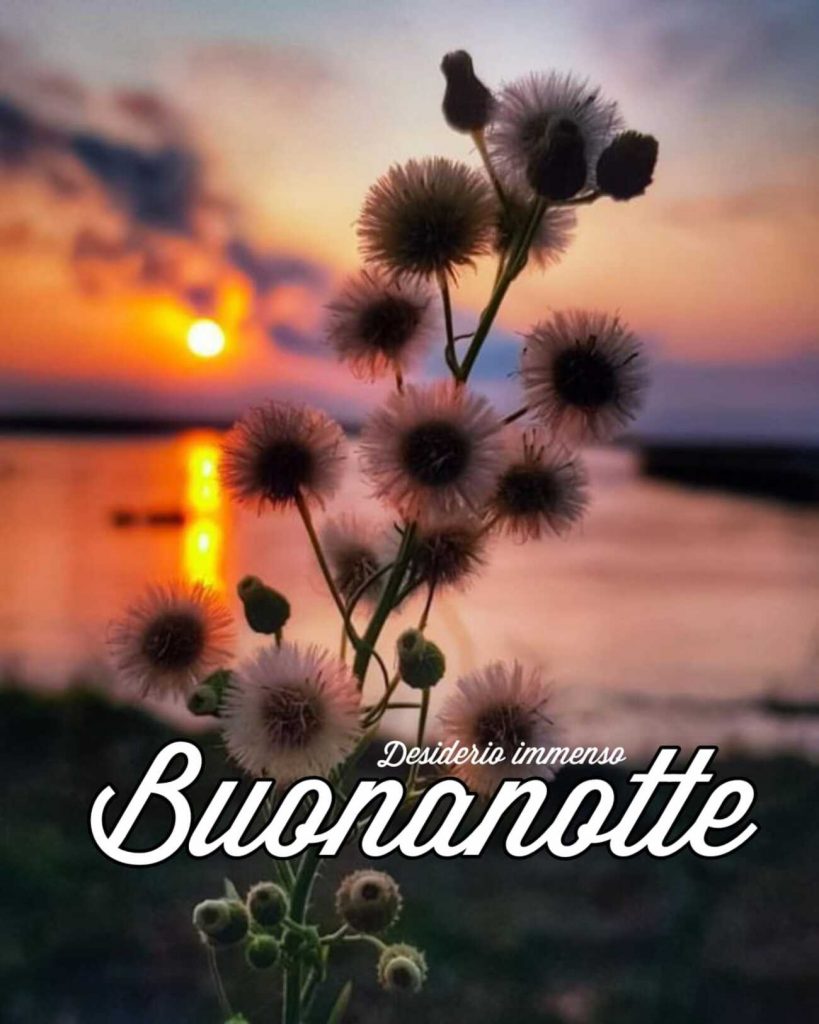 Buonanotte