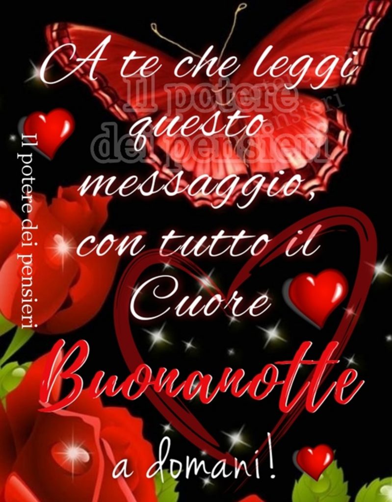 A te che leggi questo messaggio, con tutto il cuore Buonanotte a domani!