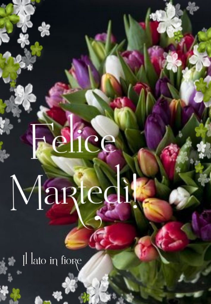 Felice Martedì!