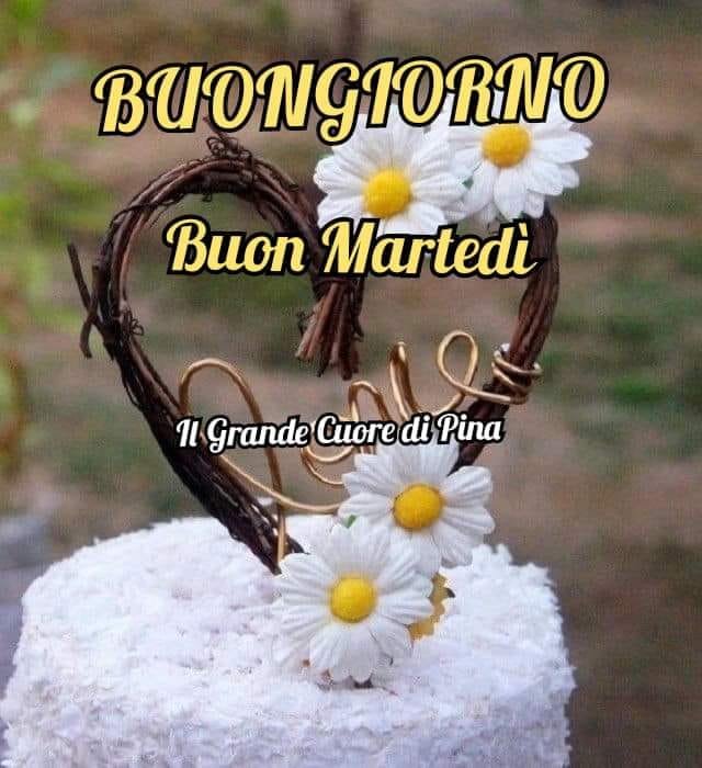 Buongiorno Buon Martedì (Il grande cuore di Pina)