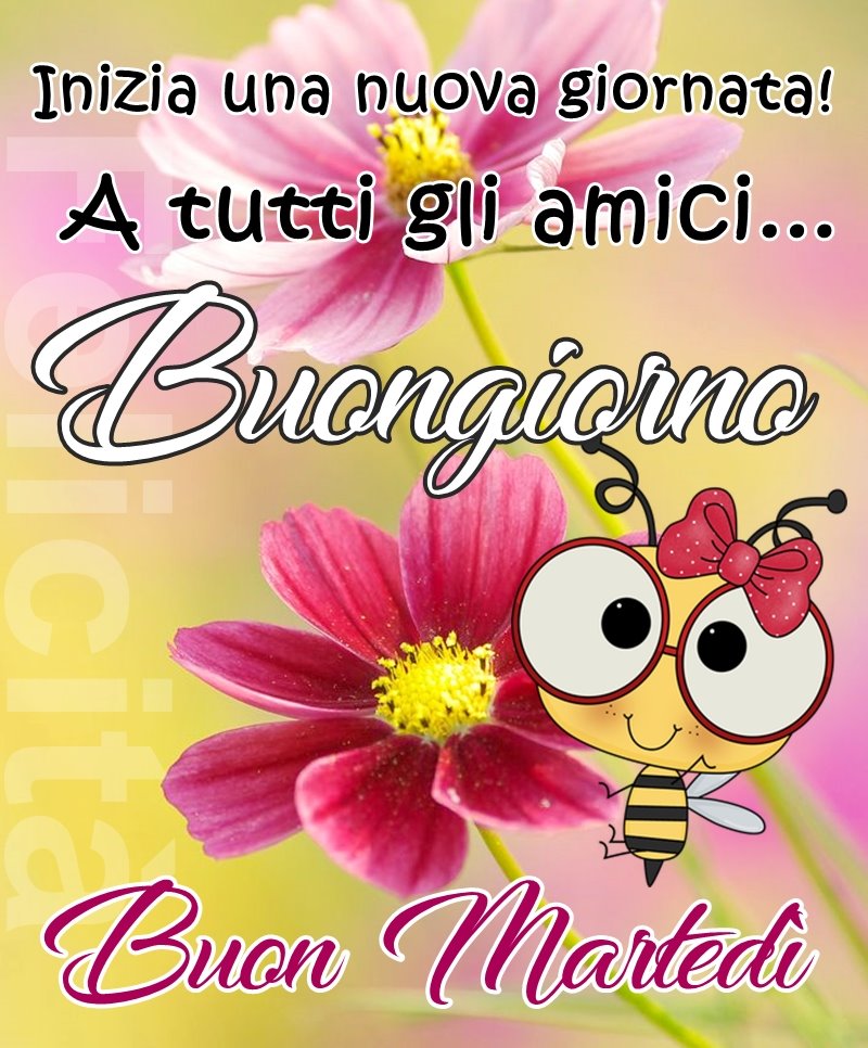 Inizia una nuova giornata! A tutti gli amici...Buongiorno Buon Martedì