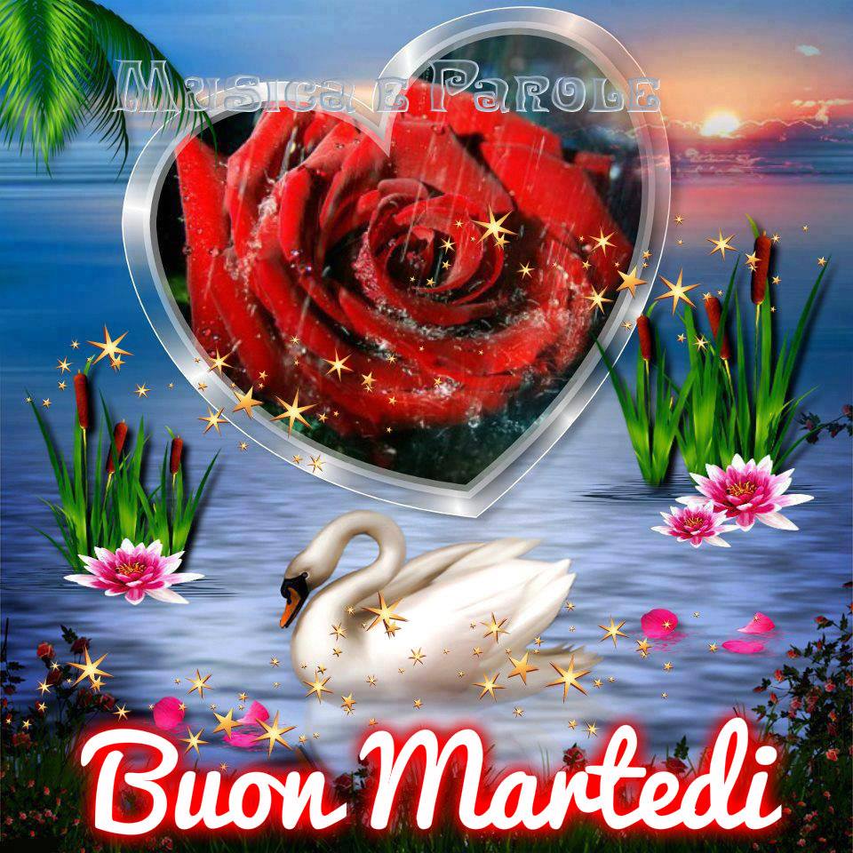 Buon Martedì