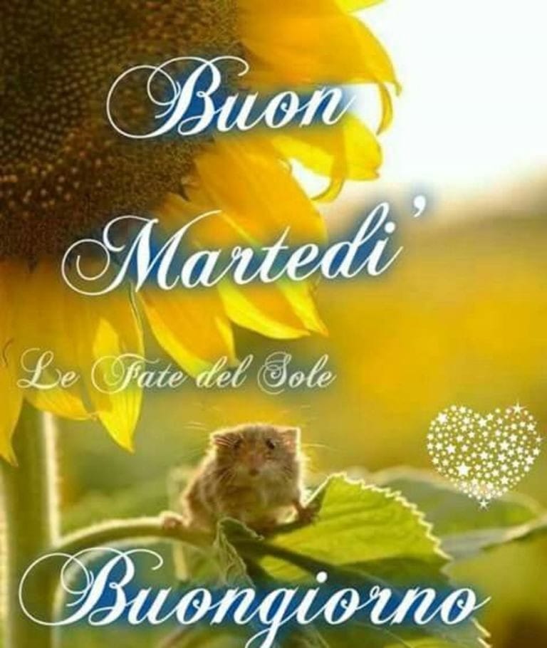 Buon Martedì Buongiorno