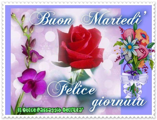 Buon Martedì felice giornata