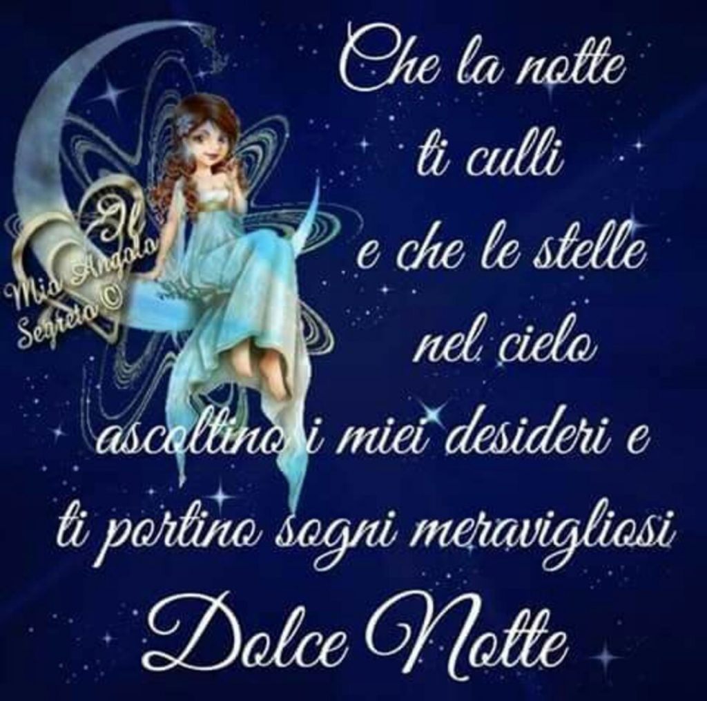 Che la notte ti culli e che le stelle nel cielo ascoltino i miei desideri e ti portino sogni meravigliosi Dolce Notte