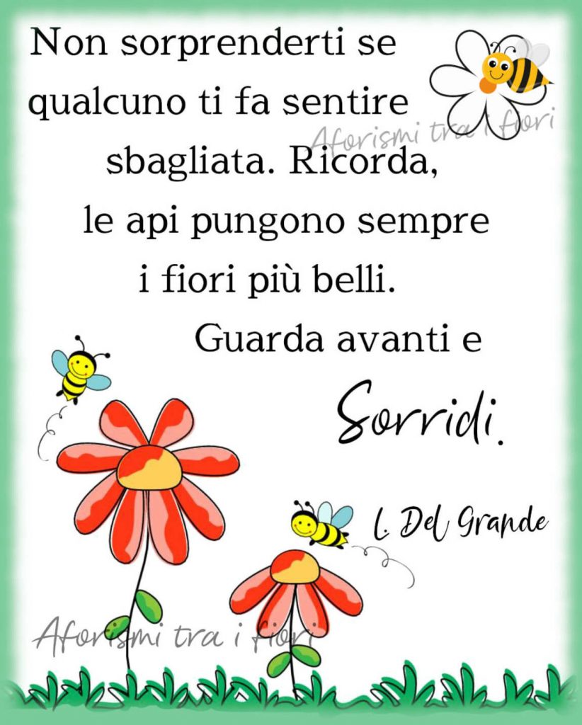 Non sorprenderti se qualcuno ti fa sentire sbagliata. Ricorda, le api pungono sempre i fiori più belli. Guarda avanti e sorridi