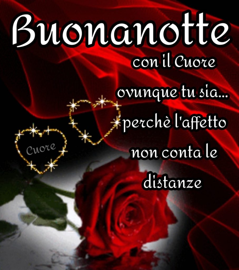 Buonanotte con il cuore ovunque tu sia...perché l'affetto non conta le distanze 