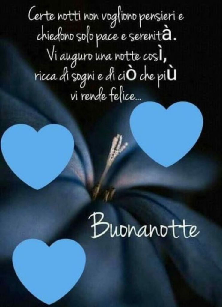 Certe notti non vogliono pensieri e chiedono solo pace e serenità. Vi auguro una notte così, ricca di sogni e di ciò che più vi rende felice...Buonanotte