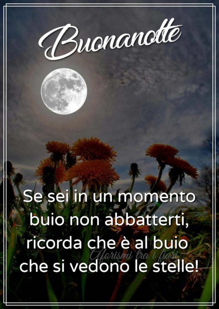 Buonanotte Se sei in un momento buio non abbatterti, ricorda che è al buio che si vedono le stelle! 