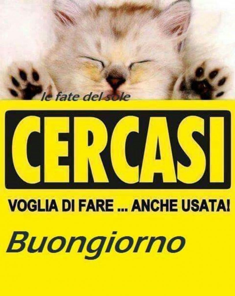Cercasi voglia di fare...anche usata! Buongiorno