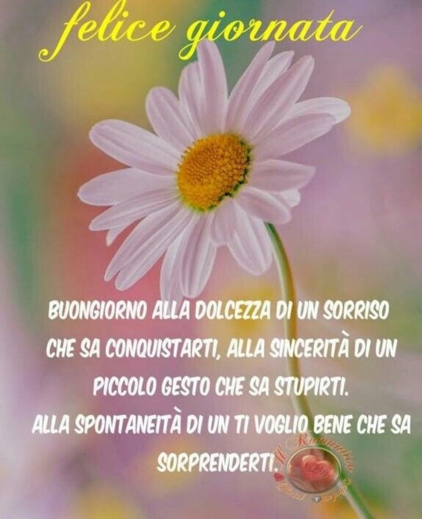 Felice giornata Buongiorno alla dolcezza...