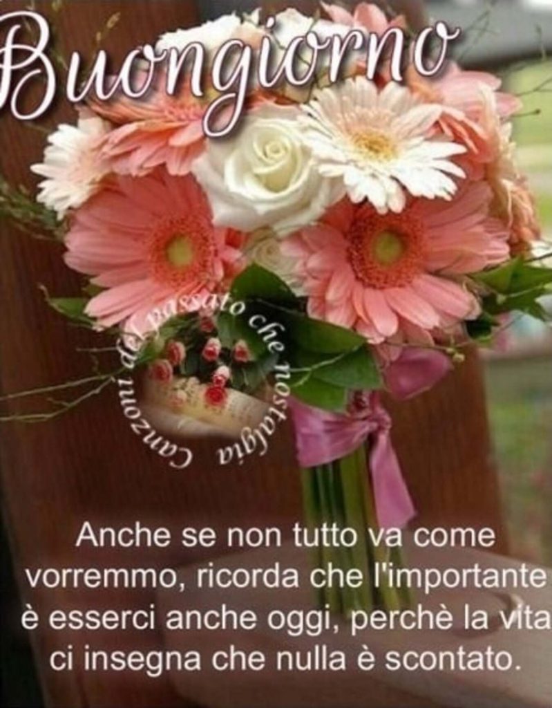 Buongiorno anche se non tutto va come vorremmo, ricorda che l'importante è esserci anche oggi, perché la vita ci insegna che nulla è scontato