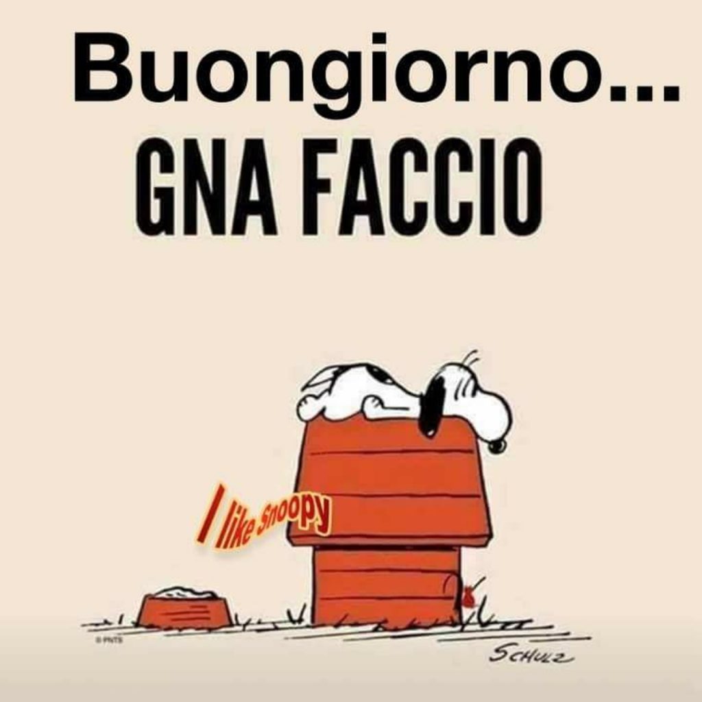 Buongiorno... gna faccio