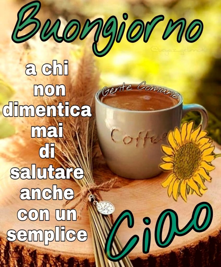 Buongiorno a chi non dimentica mai di salutare anche con un semplice Ciao