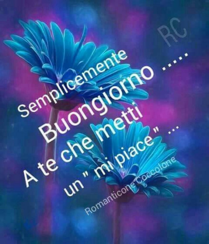 Semplicemente Buongiorno a te che metti un "mi piace"