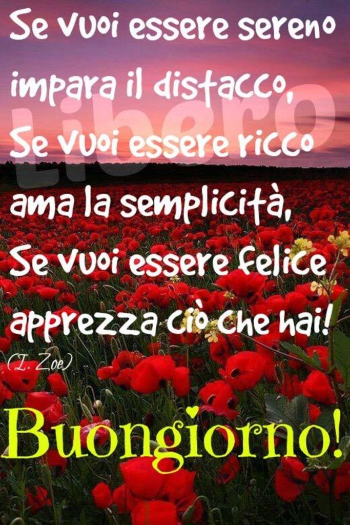 Se vuoi essere sereno, impara il distacco, se vuoi essere ricco ama la semplicità, se vuoi essere felice apprezza ciò che hai! Buongiorno!