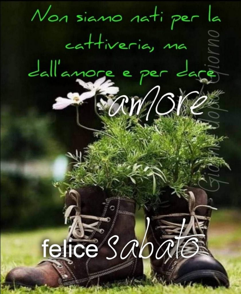 Non siamo nati per la cattiveria, ma dall'amore e per dare amore Felice Sabato