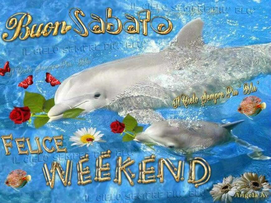 Buon Sabato Felice Weekend