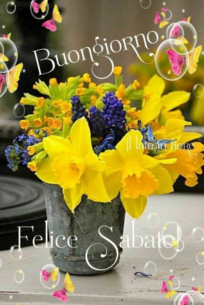 Buongiorno Felice Sabato