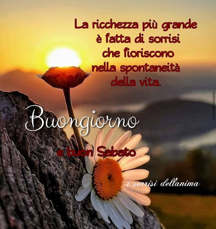 La ricchezza più grande è fatta di sorrisi che fioriscono nella spontaneità della vita Buongiorno e buon Sabato 