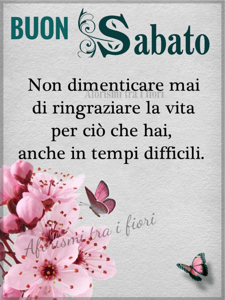 Buon Sabato non dimenticare mai di ringraziare la vita per ciò che hai, anche in tempi difficili