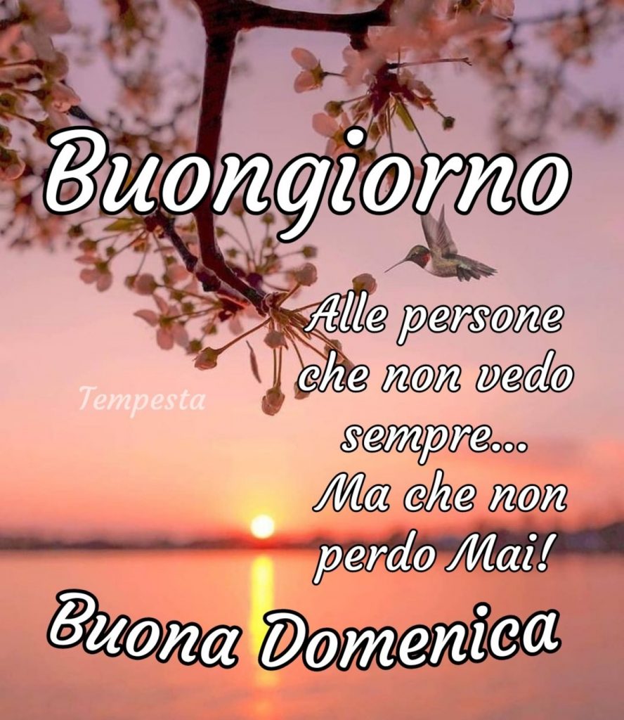 Buongiorno alle persone che non vedo sempre...ma che non perdo mai! Buona Domenica