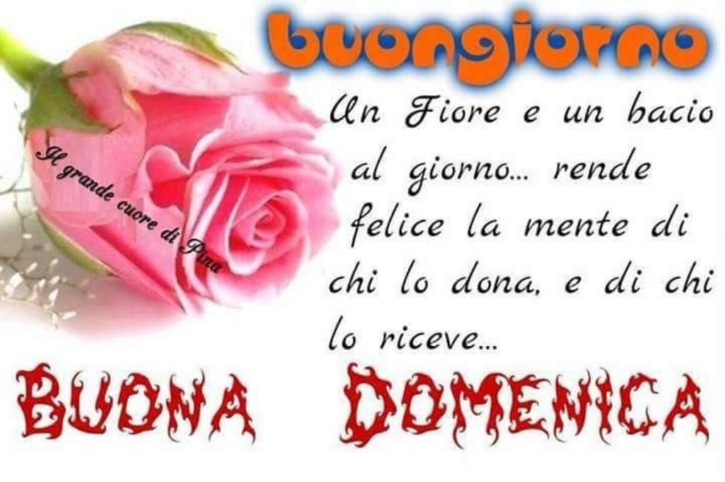 Buongiorno un fiore e un bacio al giorno...rende felice la mente di chi lo dona, e di chi lo riceve... Buona Domenica